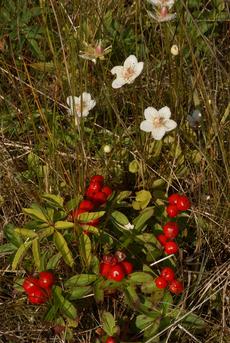 PhotoGallery