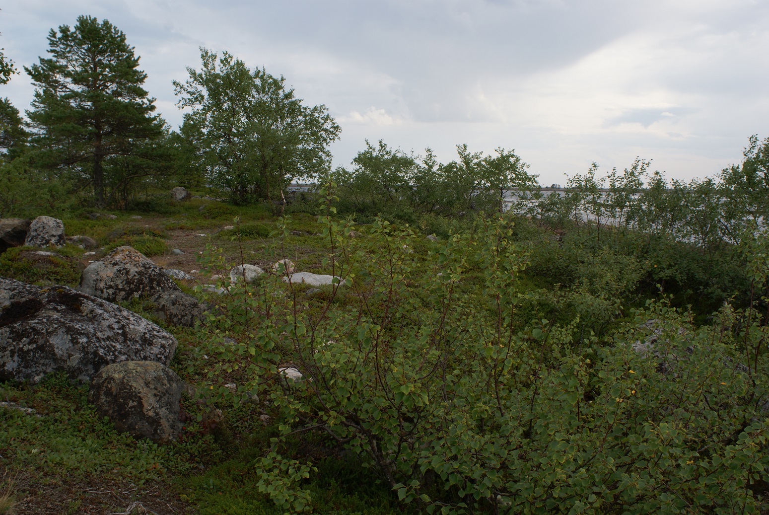 Белое море. Остров.